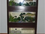 Reptile Rack Systems Canada Diy Wood Cage Build Guide Ssnakess Reptile forum Reptile Build