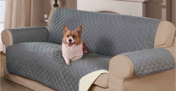 Reversible Pet Extra-long sofa Slipcover Mason Home Decor Reversible Pet sofa Cover Marleys Board