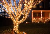 Rope Light Palm Tree Buyers Guide for the Best Outdoor Christmas Lighting Diy