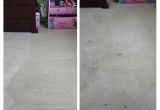 Rug Cleaning San Francisco Ca Ccs Carpet Cleaning Carpet Cleaning 4583 3rd St Pleasanton Ca