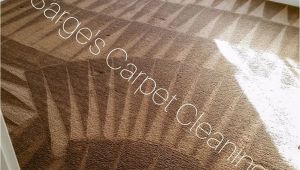 Rug Cleaning San Francisco Ca Sarge S Carpet Cleaning 48 Photos Carpet Cleaning Milpitas Ca