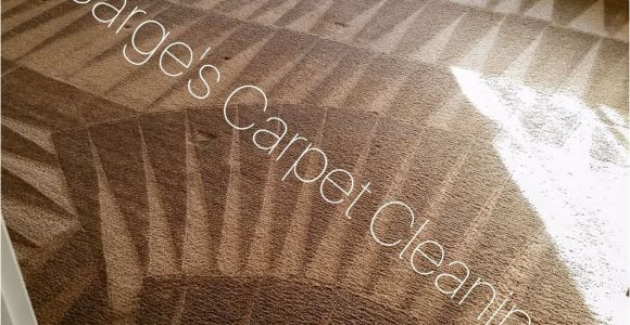 Rug Cleaning San Francisco Ca Sarge S Carpet Cleaning 48 Photos Carpet Cleaning Milpitas Ca