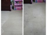 Rug Cleaning San Francisco Ccs Carpet Cleaning Carpet Cleaning 4583 3rd St Pleasanton Ca