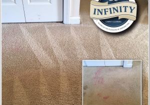 Rug Cleaning San Francisco Infinity Carpet Cleaning 53 Photos Carpet Cleaning Lillington