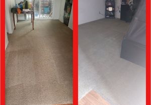 Rug Cleaning San Francisco Pick Up Easy Green Cleaners 14 Reviews Carpet Cleaning Hyde Park Los