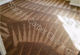 Rug Cleaning San Francisco Sarge S Carpet Cleaning 48 Photos Carpet Cleaning Milpitas Ca