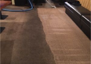 Rug Cleaning San Francisco Smart Carpet Cleaning Restoration 19 Photos Carpet Cleaning