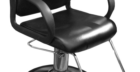 Salon Chairs for Sale Cheap Styling Chairs