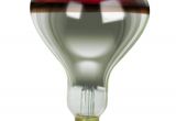 Salon Heat Lamps for Sale Amazon Com Satco Bulbs 64965 Heat Lamps 250 Watts R40 Reflector
