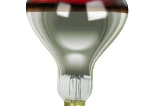 Salon Heat Lamps for Sale Amazon Com Satco Bulbs 64965 Heat Lamps 250 Watts R40 Reflector