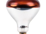Salon Infrared Heat Lamp Bulb Warmer Heat Lamp Parts and Accessories Webstaurantstore