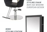 Shampoo Chair for Sale Ph 10 Best Buy Rite Backwashes Images On Pinterest Lounges Salons