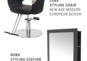 Shampoo Chair for Sale Ph 10 Best Buy Rite Backwashes Images On Pinterest Lounges Salons