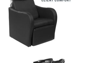 Shampoo Chair for Sale Ph 10 Best Buy Rite Backwashes Images On Pinterest Lounges Salons