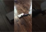 Shark Genius Steam Pocket Mop Hardwood Floors Shark Genius Steam Pocket Mop System In Action Youtube