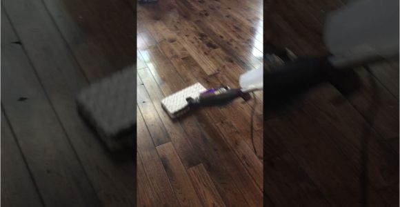 Shark Genius Steam Pocket Mop Hardwood Floors Shark Genius Steam Pocket Mop System In Action Youtube