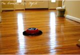 Shark Hardwood Floor Cleaner Concentrate Shark Wood Hard Floor Cleaner Concentrate Tags Amazing Luxury