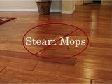 Shark Hardwood Floor Cleaner New Shark Carpet Floor Cleaner