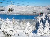Ski Lift Chair for Sale California Skiing and Snowboarding In southern Ca Near Los Angeles