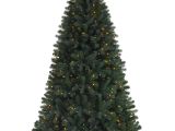 Skinny Decorative Pine Trees Brooklyn Led Spruce Christmas Tree Treetopia