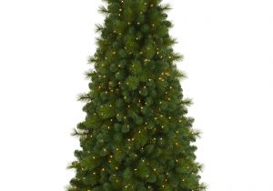 Skinny Decorative Pine Trees Foxtail Christmas Pine Tree Treetopia