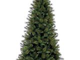 Skinny Decorative Pine Trees Montana Pine Christmas Tree Slim Trees Pinterest Christmas