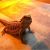 Slate Tile Flooring for Bearded Dragon My Bearded Dragons New Flooring Youtube