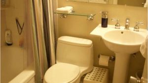 Small Bathtubs 4' India Interior Design Ideas for Small Bathroom In India