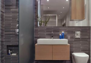 Small Contemporary Bathroom Design Ideas Small Bathroom with A Walk In Shower