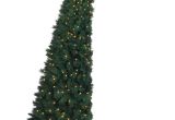 Small Decorative Pine Trees In Your Corner Christmas Tree