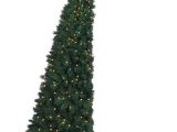 Small Decorative Pine Trees In Your Corner Christmas Tree