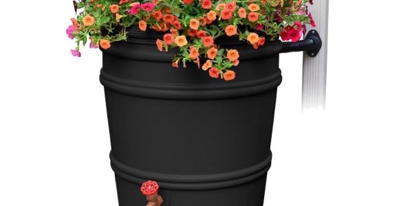 Small Decorative Rain Barrels Rain Barrels Watering Irrigation the Home Depot