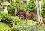 Small Garden Bathtubs ornamental Bird Bath In Small Garden Uk High Res Stock