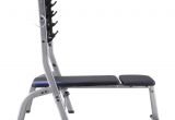 Small Weight Bench Domyos Weight Bench 100 by Decathlon Buy Online at Best Price On