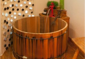 Small Wood Bathtubs 10 Bathtub Styles You Should Know About