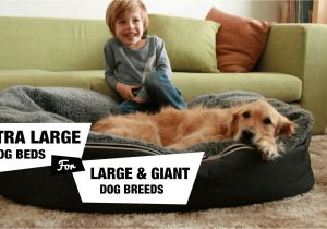 Snoozer Overstuffed sofa Pet Bed Reviews 6 Extra Large Dog Beds for Xl Xxl Dog Breeds Reviewed