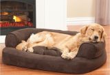 Snoozer Overstuffed sofa Pet Bed Reviews Dog Beds sofas Overstuffed Luxury sofa Drs Foster and Smith