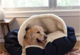 Snoozer Overstuffed sofa Pet Bed Reviews Snoozer Cozy Cavea Dog Bed 12 Colors Fabrics 3 Sizes