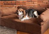 Snoozer Overstuffed sofa Pet Bed Reviews Snoozer Luxury Dog sofa Dog Couch Microsuede Fabric
