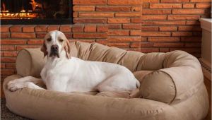 Snoozer Overstuffed sofa Pet Bed Reviews Snoozer Overstuffed Luxury Dog sofa Microsuede Fabric