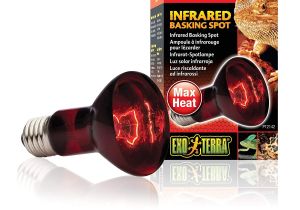 Solar Heat Lamp for Chickens Amazon Com Exo Terra Heat Glo Infrared Spot Lamp 75 Watt 120 Volt