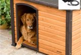 Solar Heat Lamp for Dog House Lamp Heat Lamp Dog House Elegant Dog House Peaceably Heater Tan