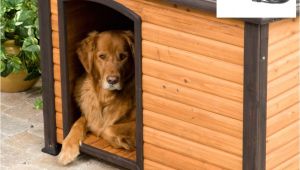 Solar Heat Lamp for Dog House Lamp Heat Lamp Dog House Elegant Dog House Peaceably Heater Tan