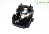 Sony Xl-5200 Replacement Lamp Canada sony Vpl Hw15 Projector Lamp with Module Myprojectorlamps Com