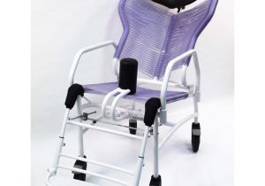 Special Needs Bath Chair with Wheels Seahorse Plus Hygiene Chair Pme Group