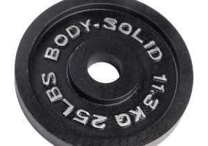 Sports Authority Weight Bench Amazon Com Body solid Olympic Iron Weight Plates Sports Outdoors