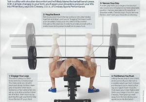 Sports Authority Weight Bench Bench Press Proper form From Menshealthmag Ns Health Fitness