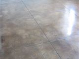 Stained Concrete Floor Looks Like Wood Concrete Flooring Polished Concrete Floor for University Park