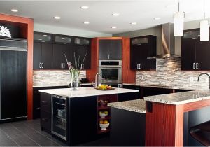 Stainless Steel Kitchen Cabinets Stainless Steel Kitchen Cabinets