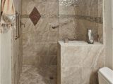 Stand Up Shower Insert Walk In Shower No Door Carldrogo Com Bathrooms Pinterest